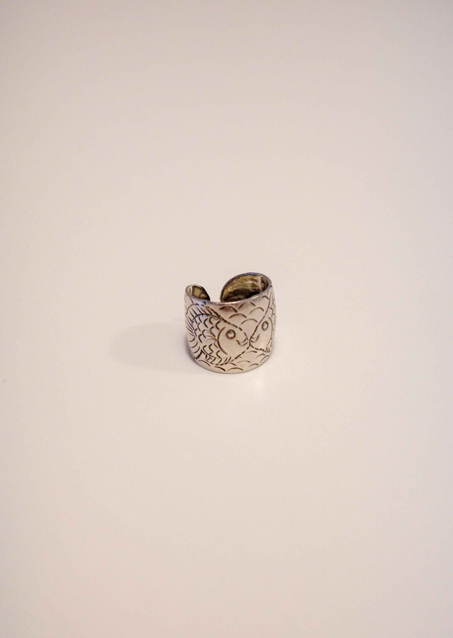 Steel Poisson Ring