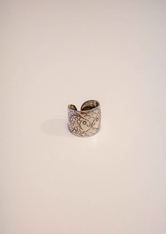 Steel Poisson Ring