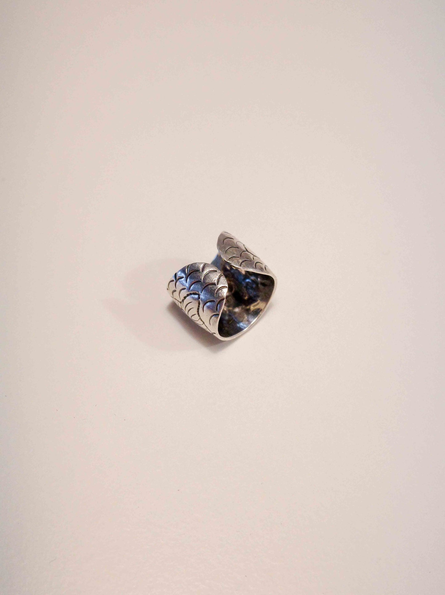 Steel Poisson Ring