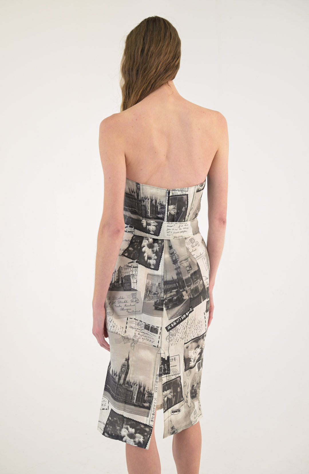 Postcard from London Strapless Dress