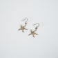 Starfish Earrings